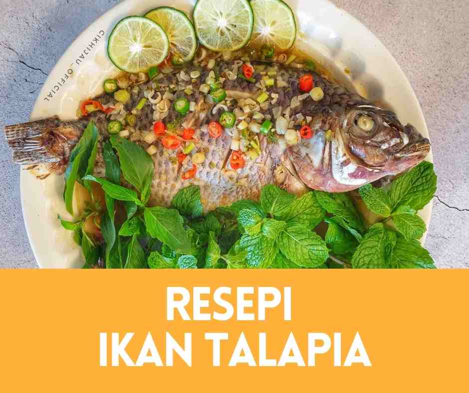 resepi ikan talapia