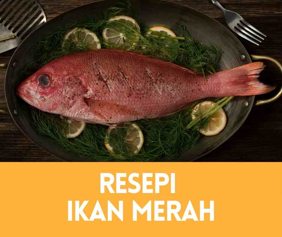 Resepi Ikan Merah