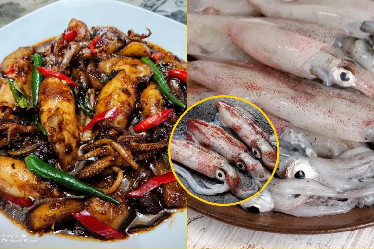 Resepi Sotong Masak Kicap