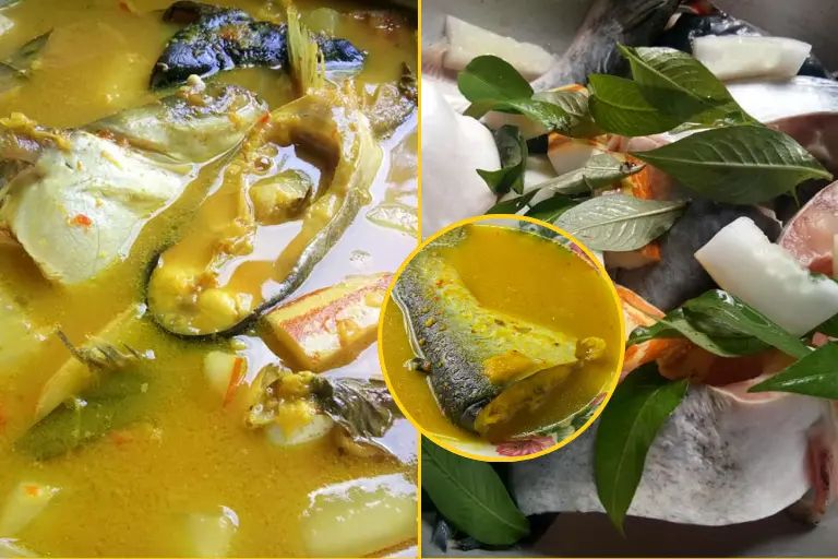 Resepi Ikan Patin Masak Tempoyak